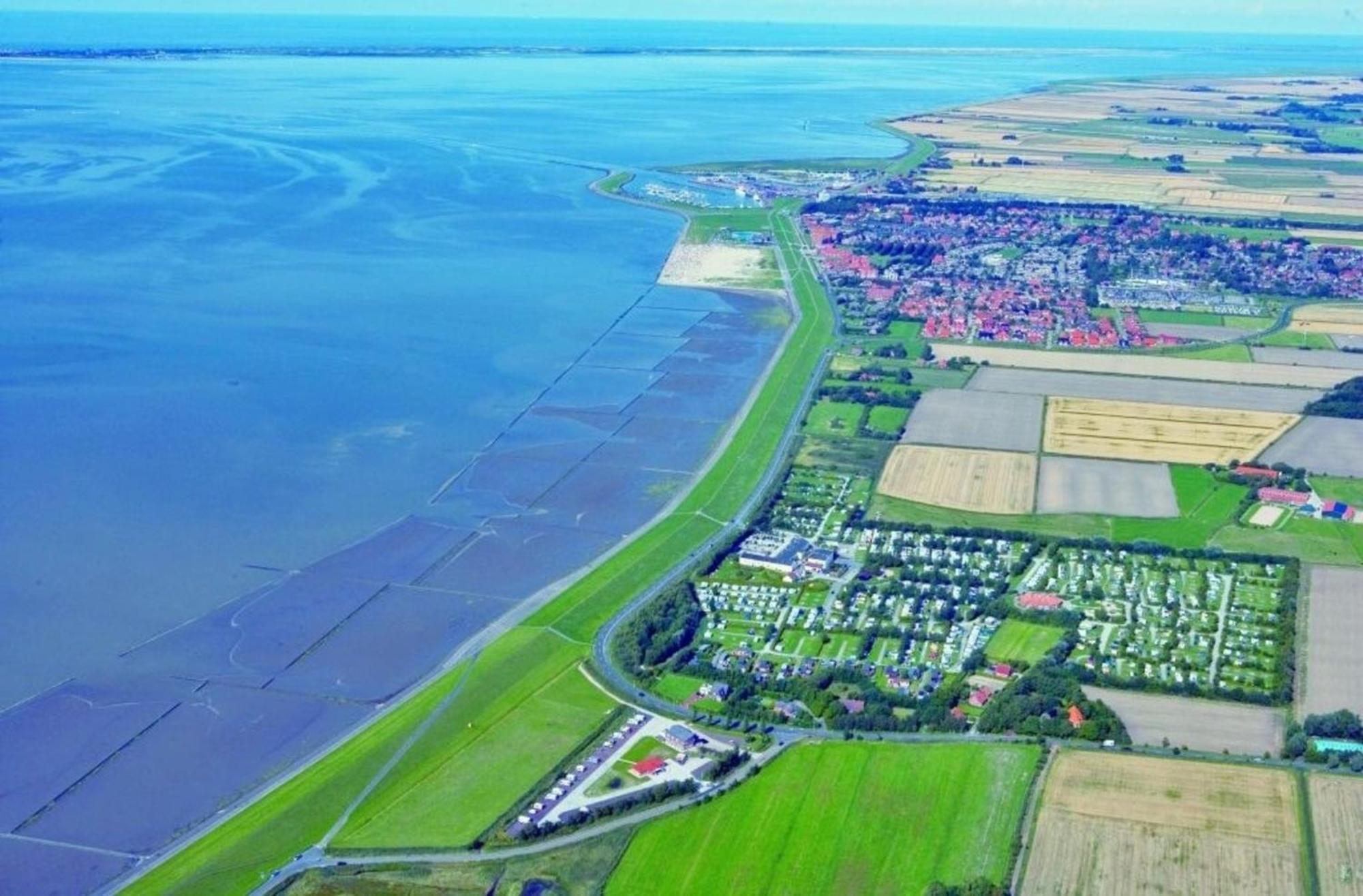 Kleine Nordseewelle Ohne Hund Norden Kültér fotó